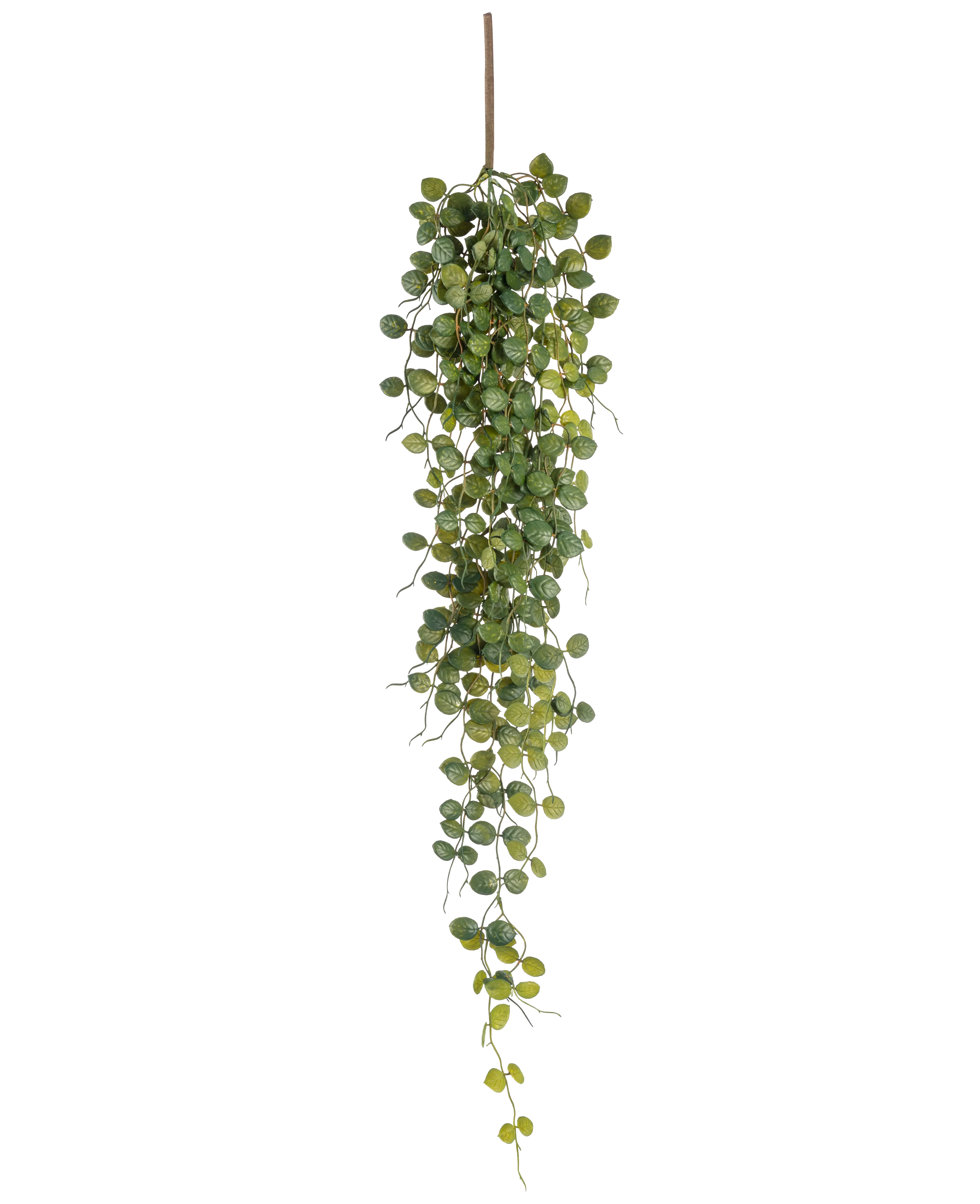 HERBSTANGEBOTE