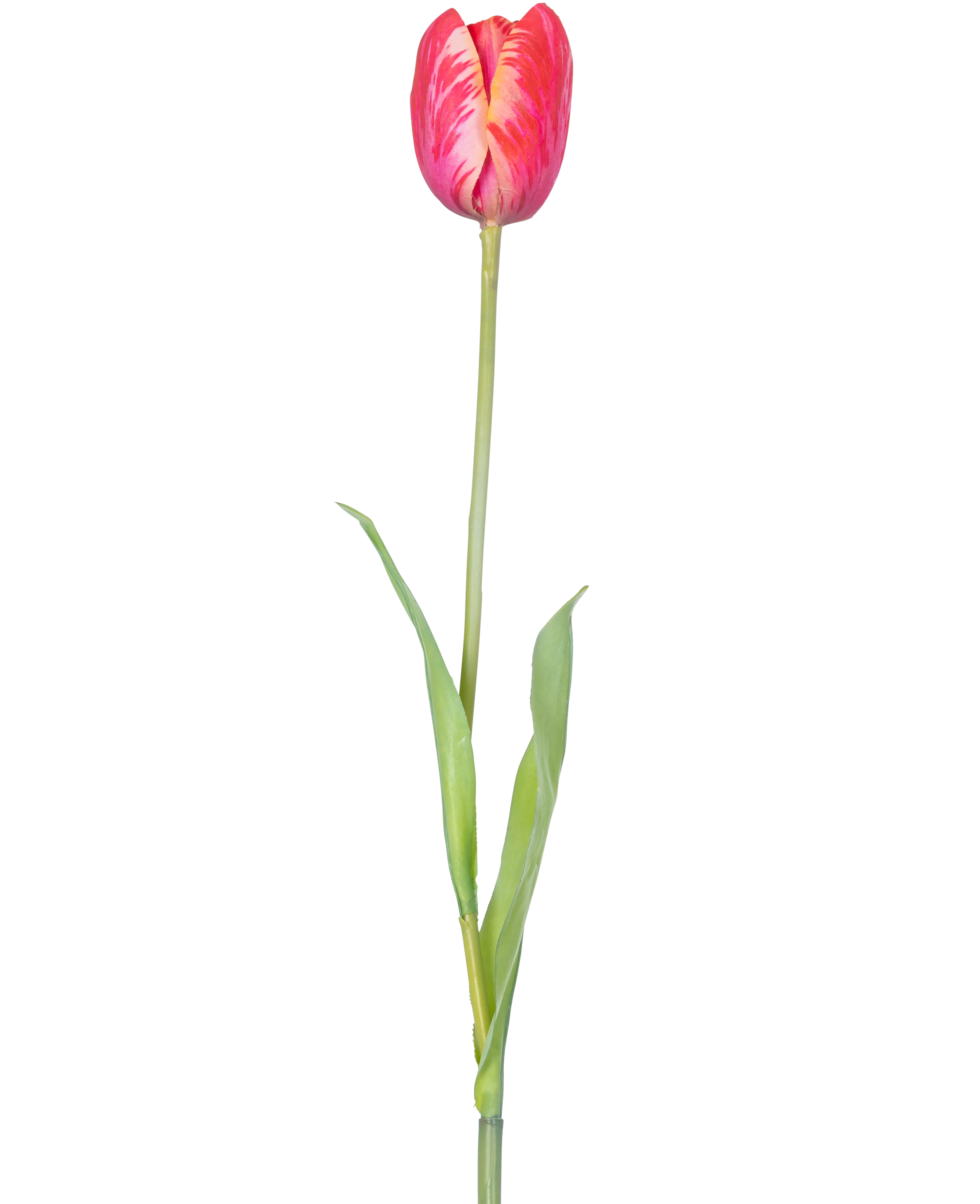 Vorschaubild 1