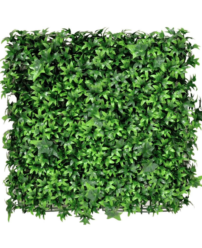Vorschaubild 1